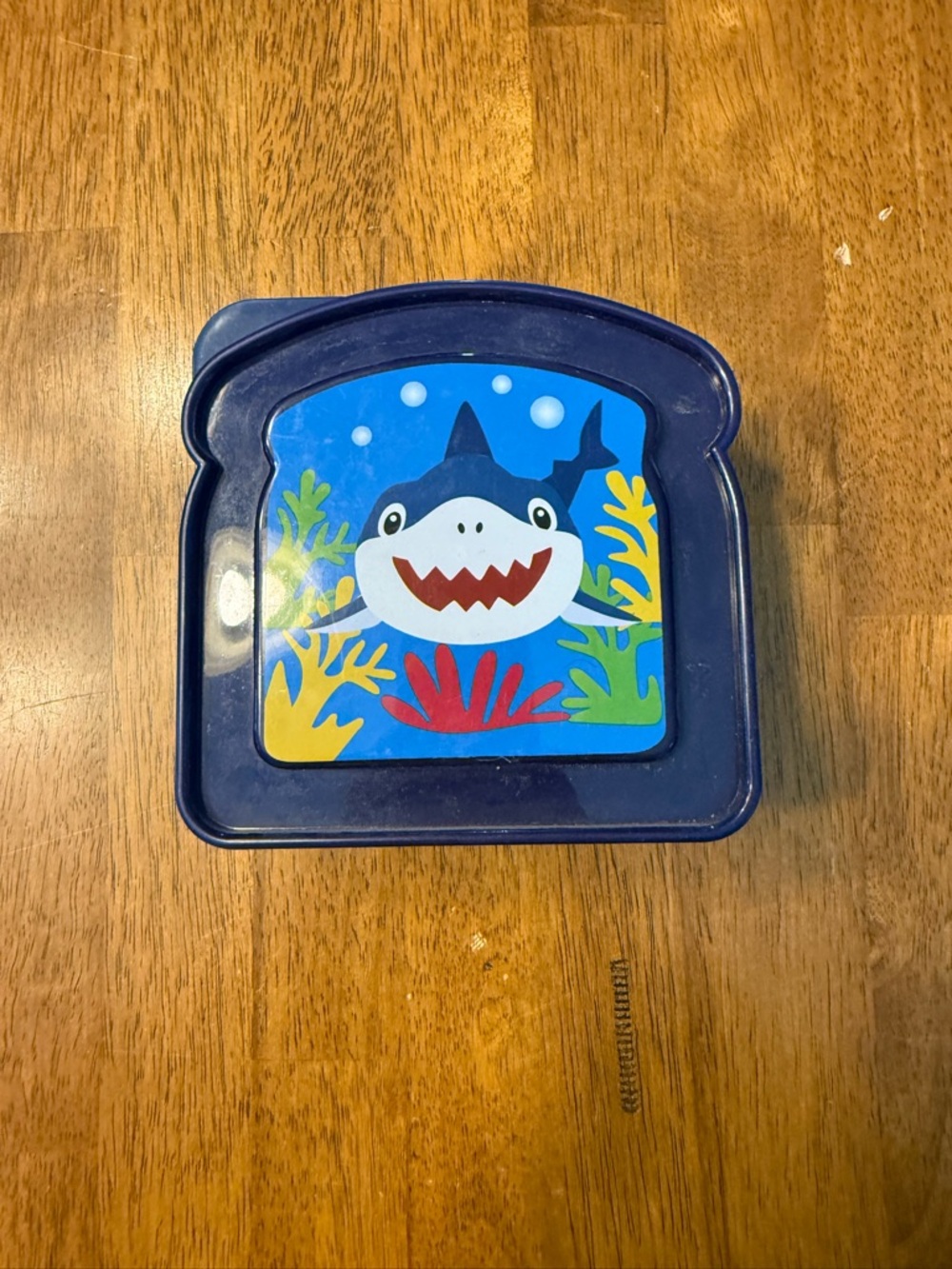 Kids Shark Lunchbox - Blue with Colorful Coral Graphic
